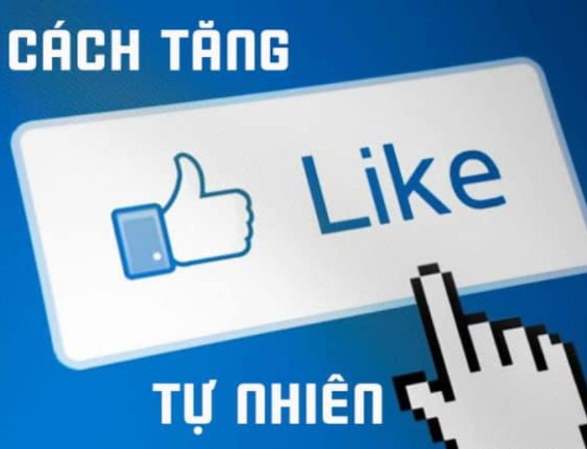 Mua Like Comment Facebook Giá Rẻ | Tăng Like Comment Facebook