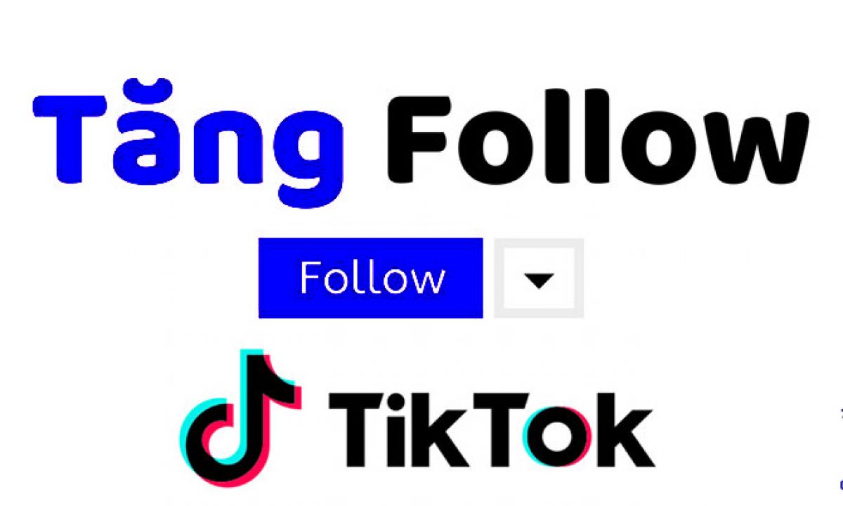 Tổng hợp các trang web tăng follow Tiktok